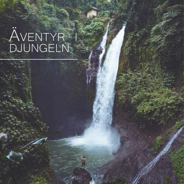 Äventyr i djungeln - Avslappning Musik Akademi