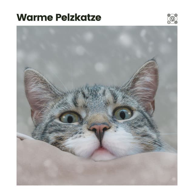 Warme Pelzkatze - Katzenmusik
