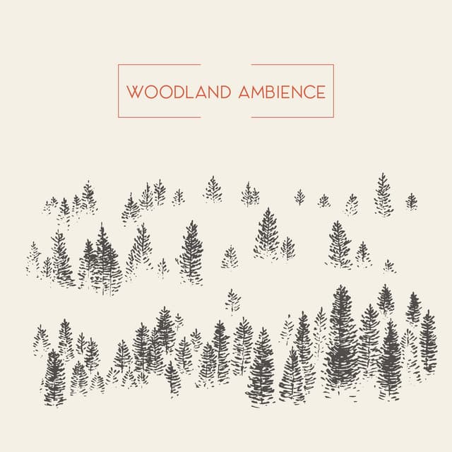 Woodland Ambience: Forest Sounds - Forest Hills Music Universe