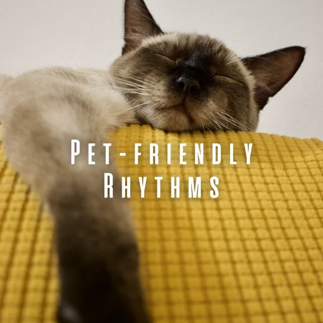 Pet-friendly Rhythms: Theta Waves and Binaural Rain Harmony - Lightning Thunder and Rain Storm