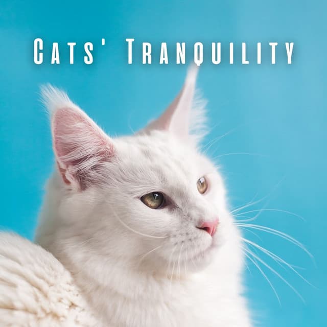 Cats' Tranquility: Mellow Lofi Vibes with Chill Music - Lovemotives