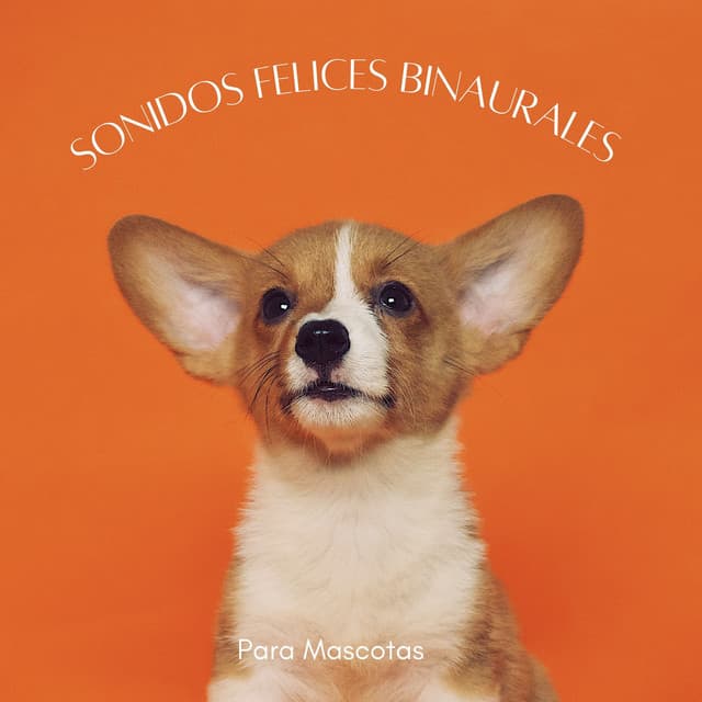 Sonidos Felices Binaurales Para Mascotas - Ritmos Binaurales MT