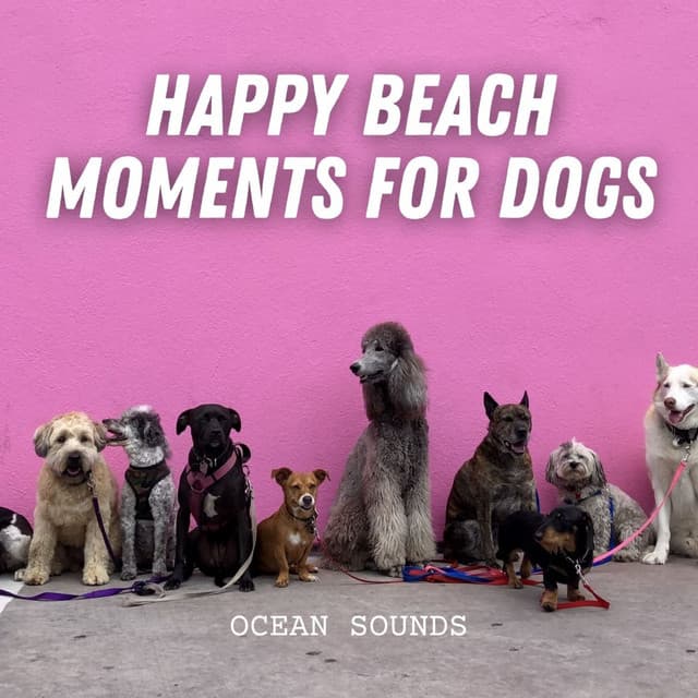 Ocean Sounds: Happy Beach Moments for Dogs - Ultimate Ocean Experience