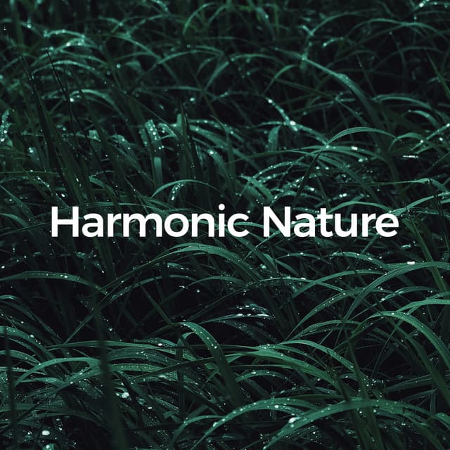 Harmonic Nature - Sounds of Nature Noise