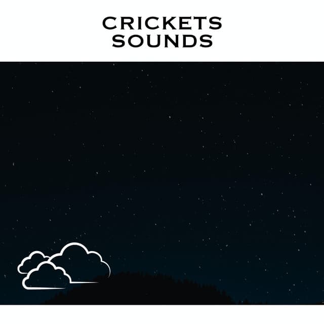 Crickets Sounds - Cricket Sounds