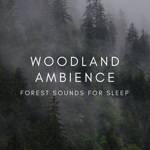 Woodland Ambience Forest Sounds for Sleep - Natural Sounds Selections