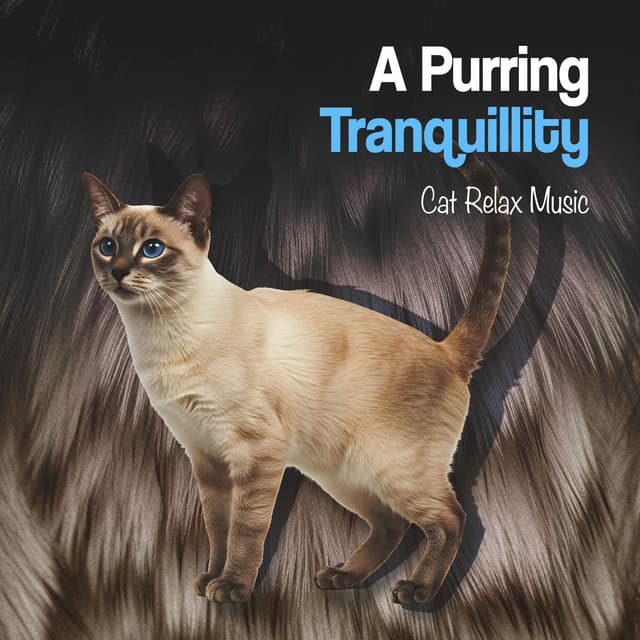 A Purring Tranquillity - Cat Relax Music