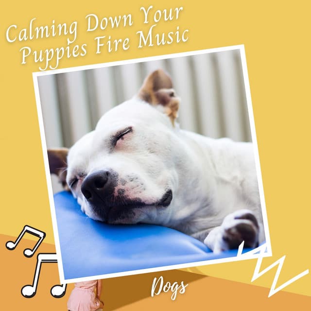 Dogs: Calming Down Your Puppies Fire Music - Deep Sleep Music