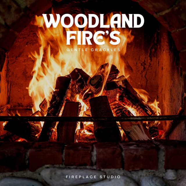 Woodland Fire's Gentle Crackles - Fireplace Studio