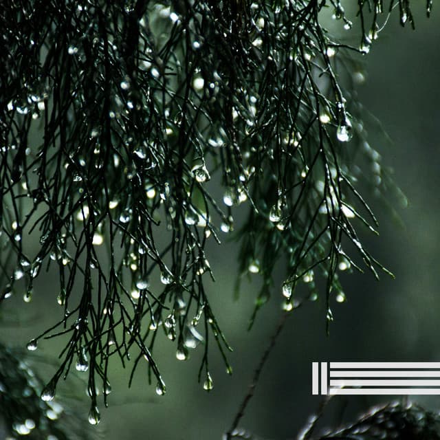 Sanfte Regengeräusche