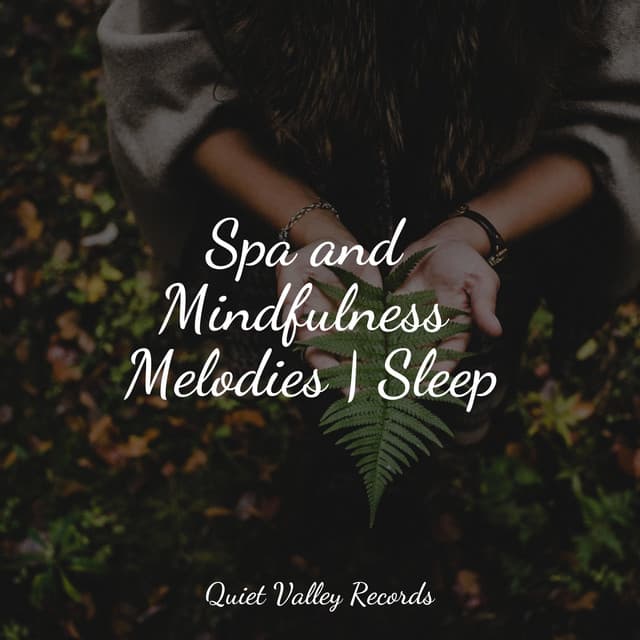 Spa and Mindfulness Melodies | Sleep - Soothing Music Academy