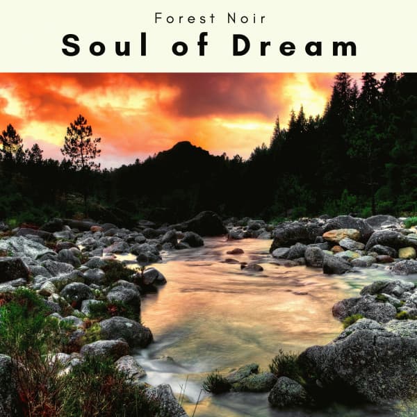 2022 Soul of Dream - Forest Noir