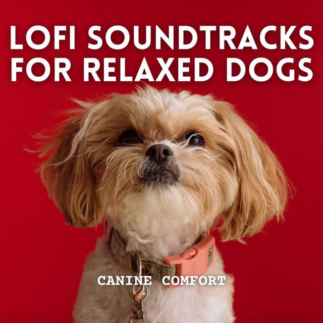Canine Comfort: Lofi Soundtracks for Relaxed Dogs - Lofi Night Drives