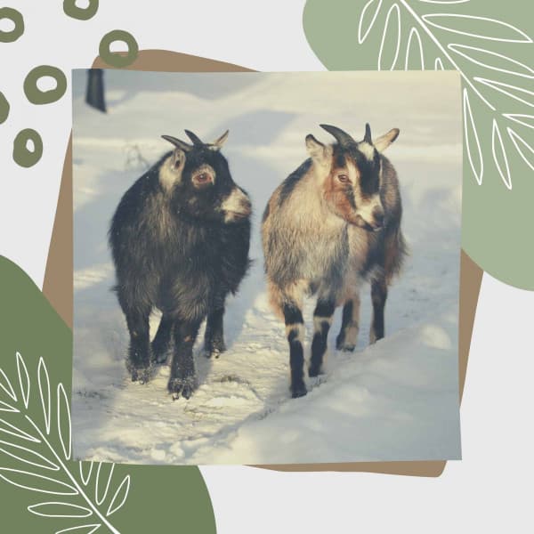 Background Music - Relaxing Days - Holiday Jazz Ensemble