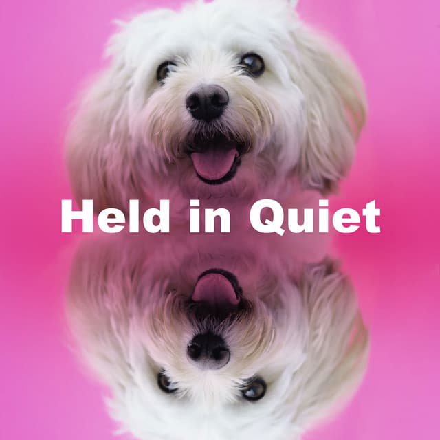 Held in Quiet - Dog Music Collective