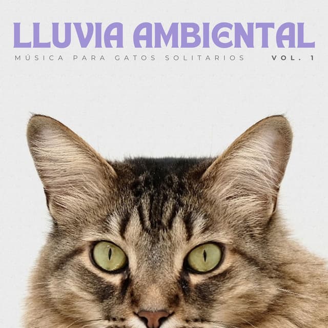 Lluvia Ambiental: Música Para Gatos Solitarios Vol. 1 - Lluvia en España