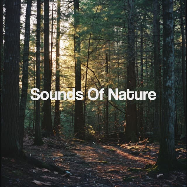 Sounds Of Nature - Sleep Sounds of Nature