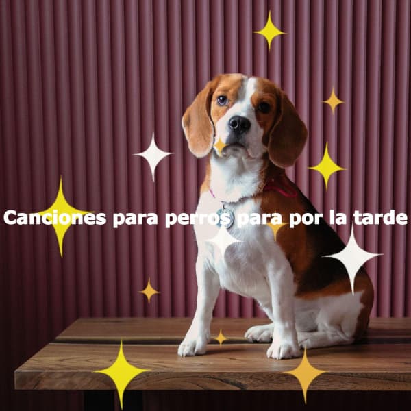 Canciones para perros para por la tarde - Cool Cats 1940s Jazz