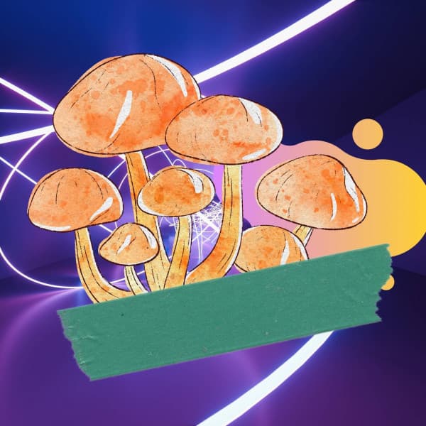 Echoes of Jazzy Cafes - Wine Bar Music