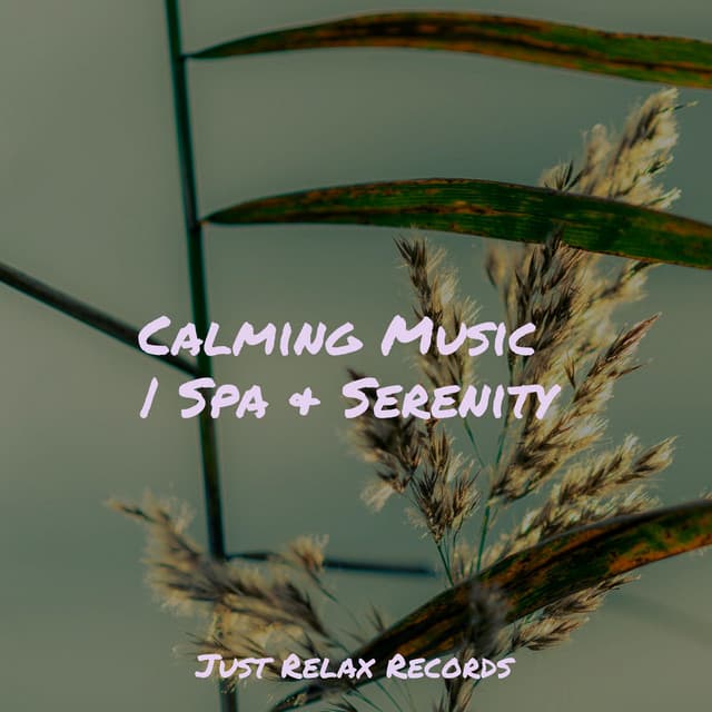 Calming Music | Spa & Serenity - Exam Study Classical Music