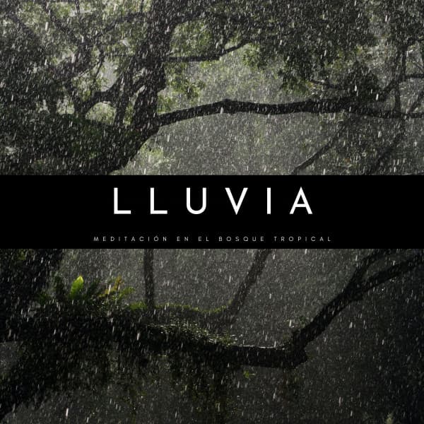 Lluvia: Meditación En El Bosque Tropical - Bosque Tropical