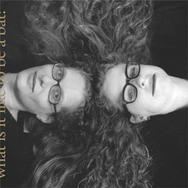 What Is It Like to Be a Bat? - Kitty Brazelton