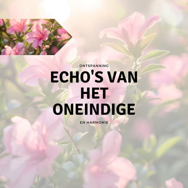 Echo's van het Oneindige - Ontspanning en Harmonie