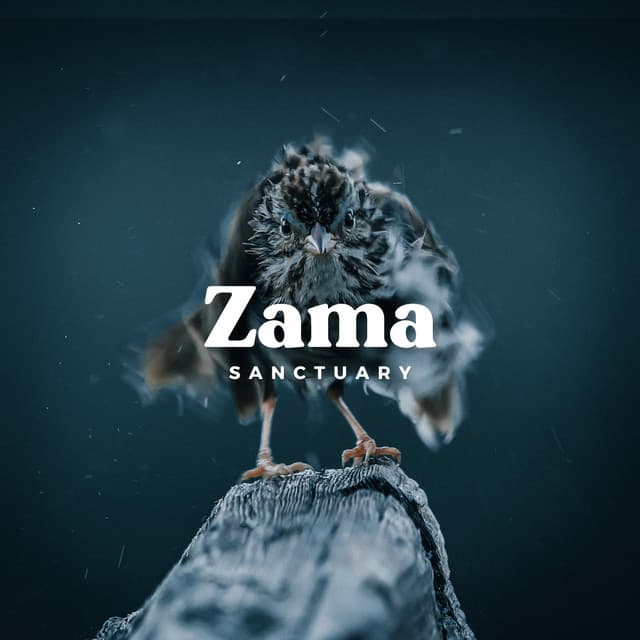 Rain Birds - Zama Sanctuary