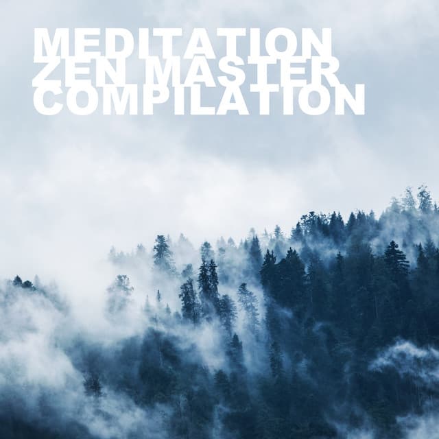 2018 A Meditation Zen Master Compilation - Pet Care Music Therapy