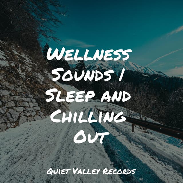 Wellness Sounds | Sleep and Chilling Out - Thunder Storms & Rain Sounds