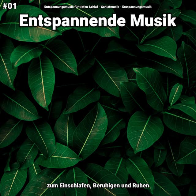 #01 Entspannende Musik zum Einschlafen, Beruhigen und Ruhen - Entspannungsmusik für tiefen Schlaf