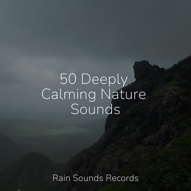 50 Deeply Calming Nature Sounds - Sea Waves Sounds