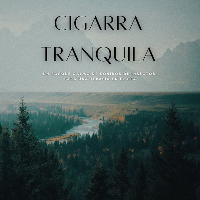 Cigarra Tranquila: Un Bosque Calmo De Sonidos De Insectos Para Una Terapia En El Spa - Bosque Tropical