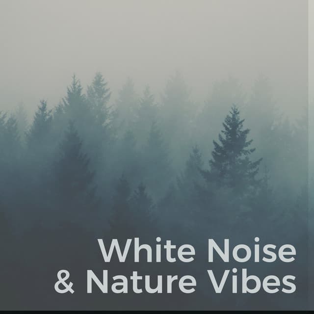 White Noise Rain