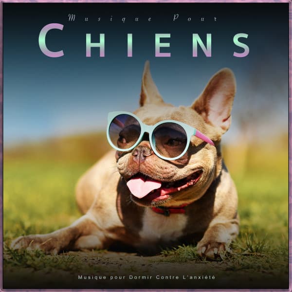 Musique pour Chiens