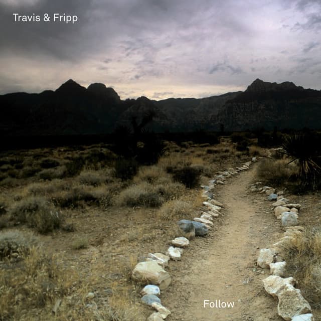 Follow - Theo Travis