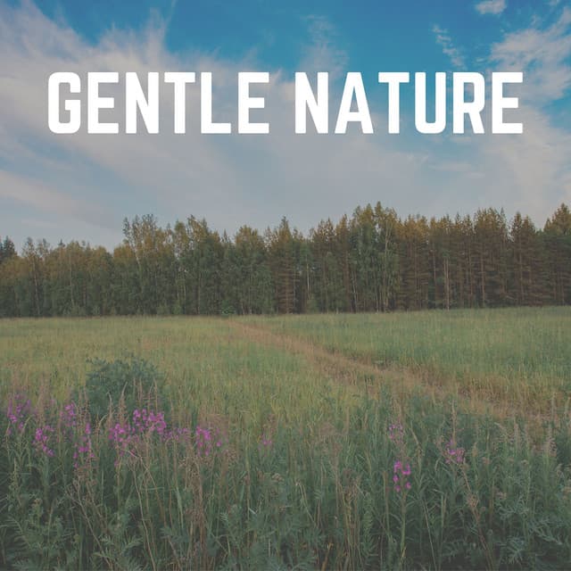 Gentle Nature - Sounds of the Forest