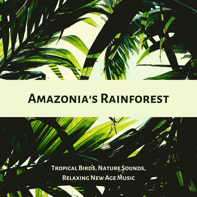 Amazonia's Rainforest: Tropical Birds, Nature Sounds, Relaxing New Age Music - Autogenic Training Music Rec.