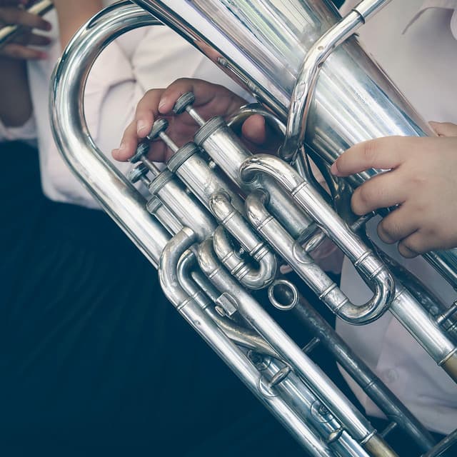 Quiet Moments: Orchestra Music for Pets - Jason Humphries