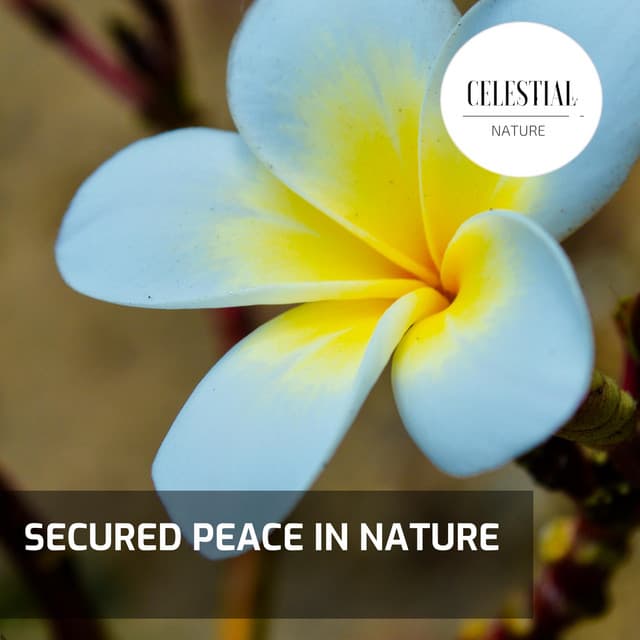Secured Peace in Nature - Nature Radiance