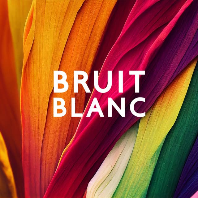 Bruit blanc, Bruit vert, Bruit rose, Bruit brun, Bruit jaune, Bruit rouge - Bruits naturels