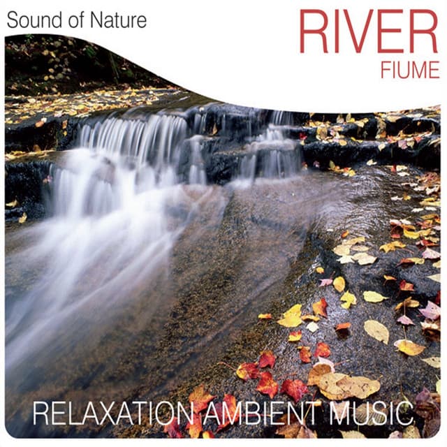 River - Sound of Nature Band