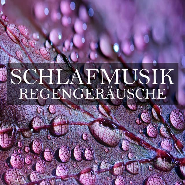 Schlafmusik: Regengeräusche - Schlafmusik