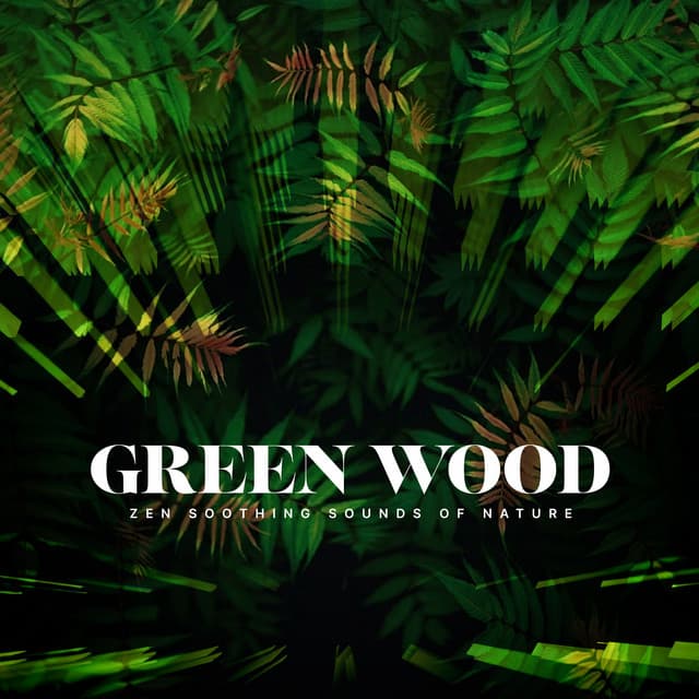 Green Wood - Zen Soothing Sounds of Nature