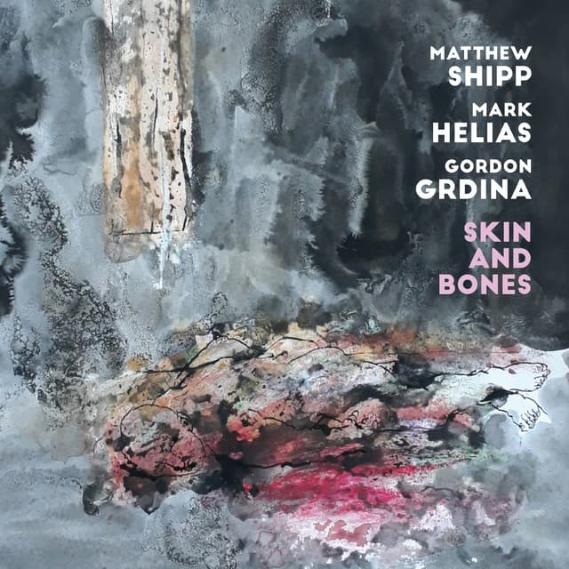 Skin and Bones - Matthew Shipp