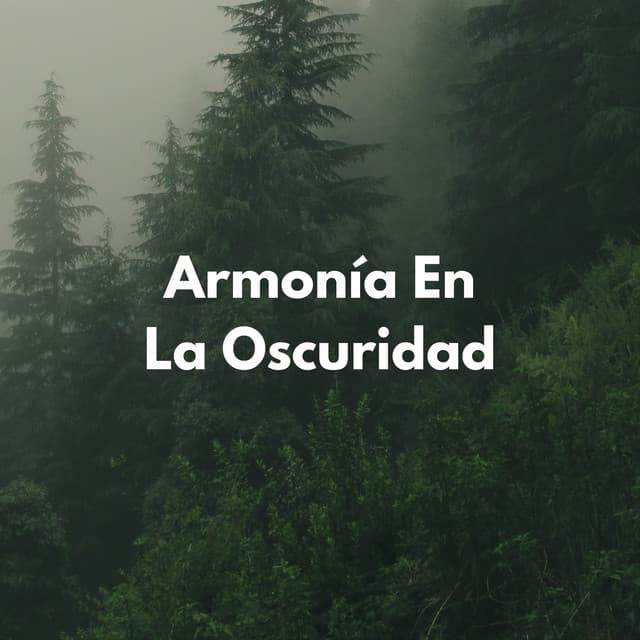 Armonía En La Oscuridad - Sonidos De La Noche