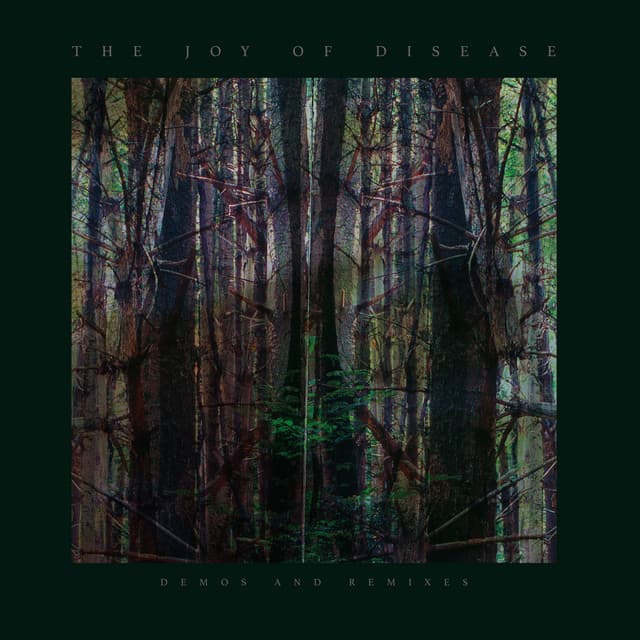 The Joy If Disease - James Plotkin