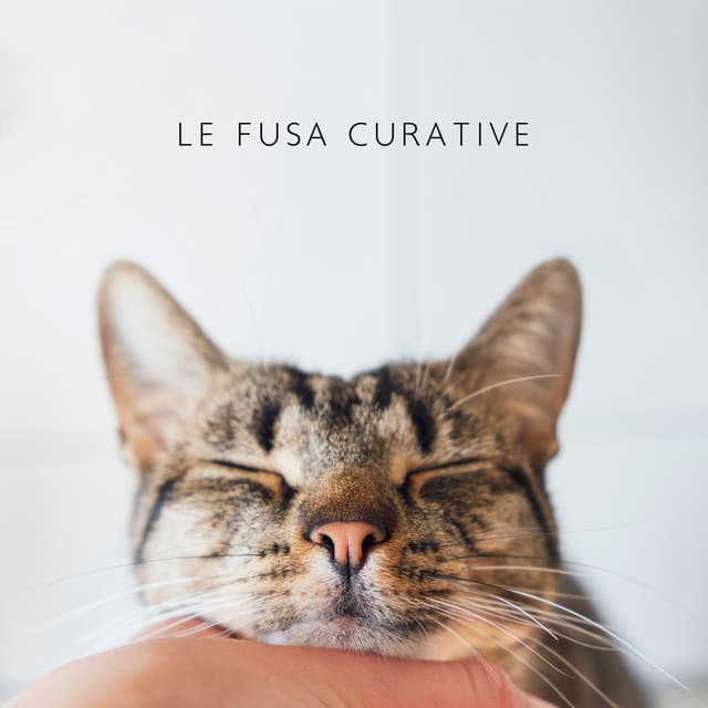 Le fusa curative - Musica Relax Academia