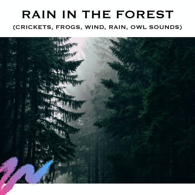 Rain in the Forest - Loopable Radiance