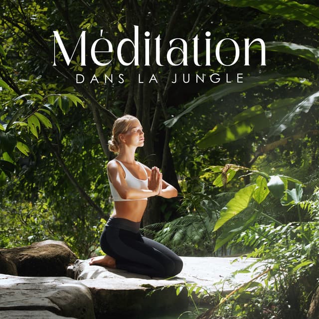 Méditation dans la jungle: Sons exotiques de la nature pour une pratique calme de la méditation - Spa Music Paradise